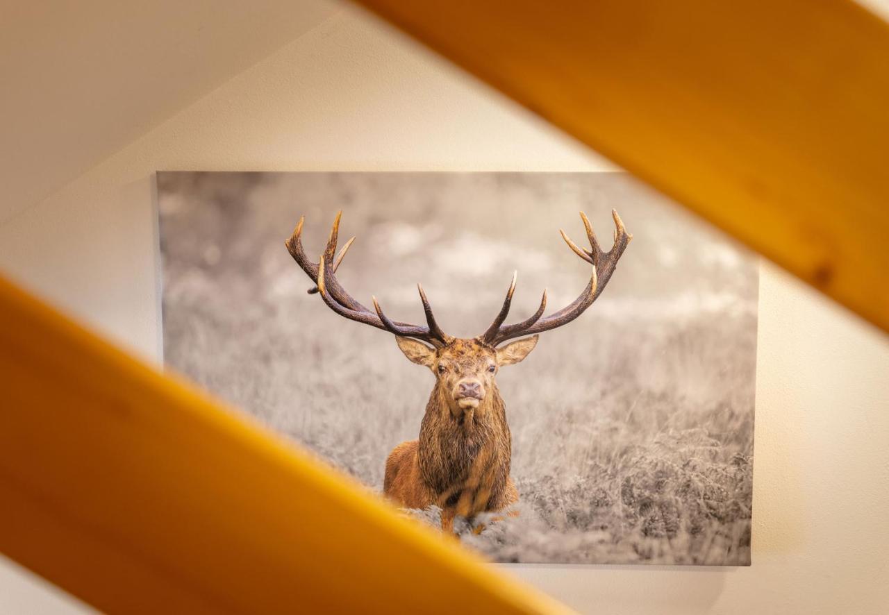 Apartmenthaus Matri By Pferd Auf Wolke Wald am Arlberg Eksteriør bilde